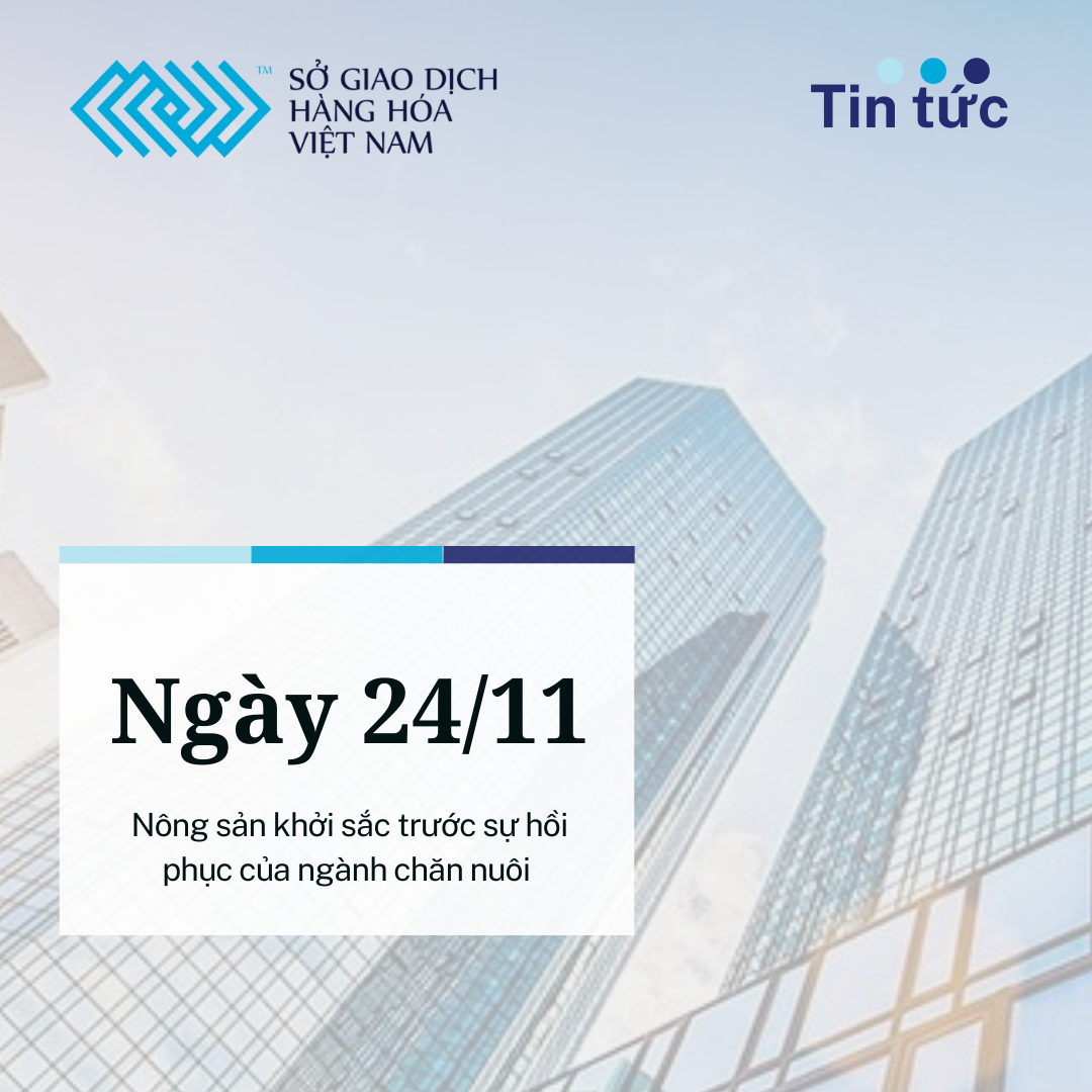 temp_post864_XaLQ4TOyam